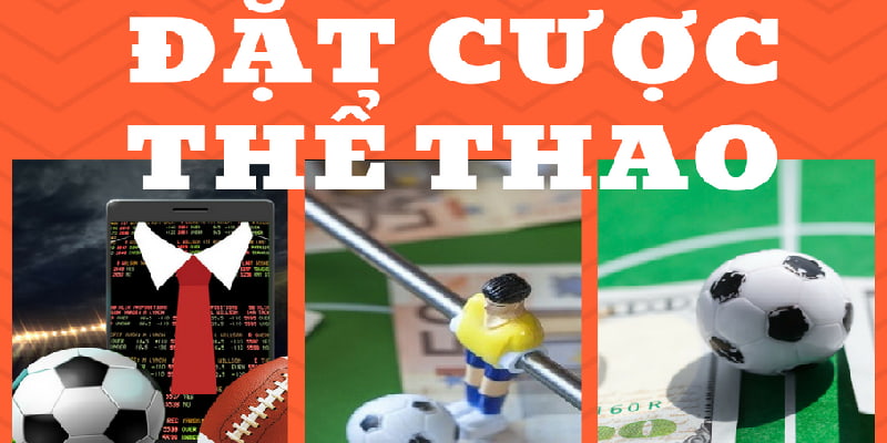 Giới thiệu sảnh thể thao tại nền tảng