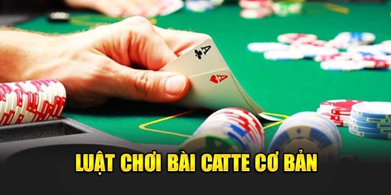 Luật đánh bài catte cơ bản